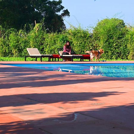 Hotel Motibagh à Sawai Madhopur Extérieur photo